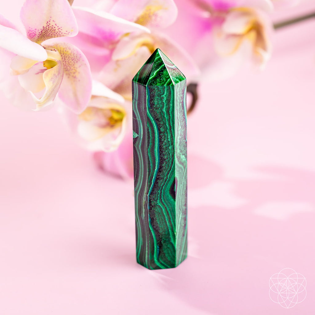 This Changes Everything – Malachite Phoenix Point by Conscious Items