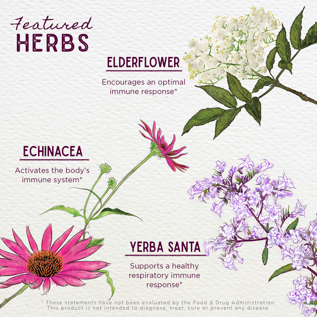 Kick-Ass Immune, Activator by WishGarden Herbs