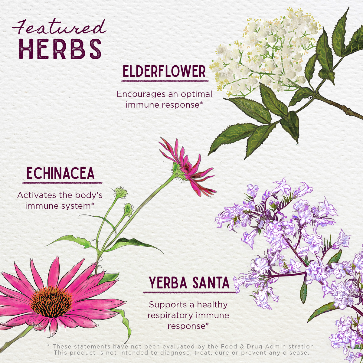 Kick-Ass Immune, Activator by WishGarden Herbs